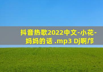 抖音热歌2022中文-小花-妈妈的话 .mp3 Dj啊邝